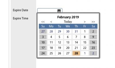 Calendar widget for expire date